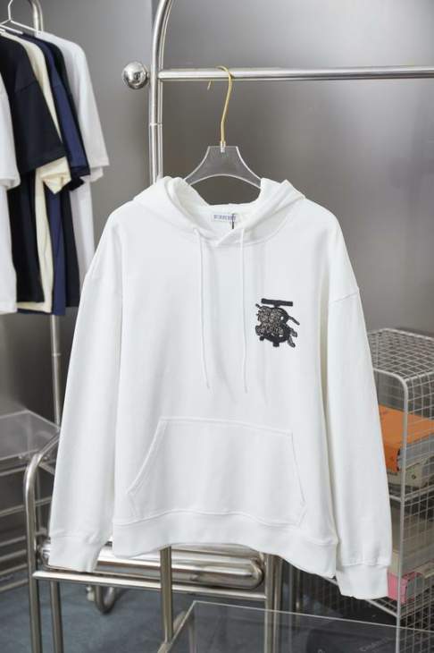 Picture of Burberry Hoodies _SKUBurberryS-XLhgntx041876